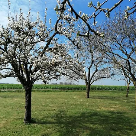 Ferme De Bonavis *