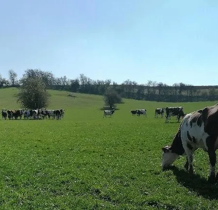 Ferme De Bonavis * Banteux