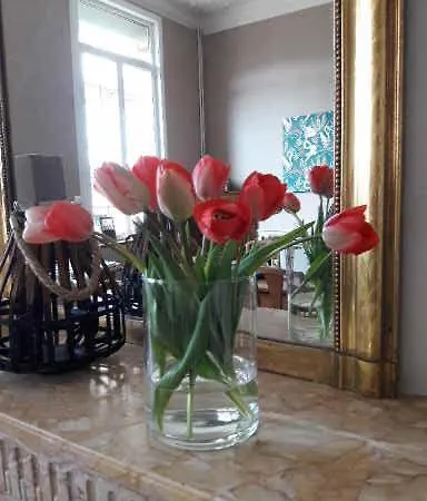 Bed & Breakfast Ferme De Bonavis