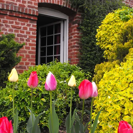 Bed & Breakfast Ferme De Bonavis