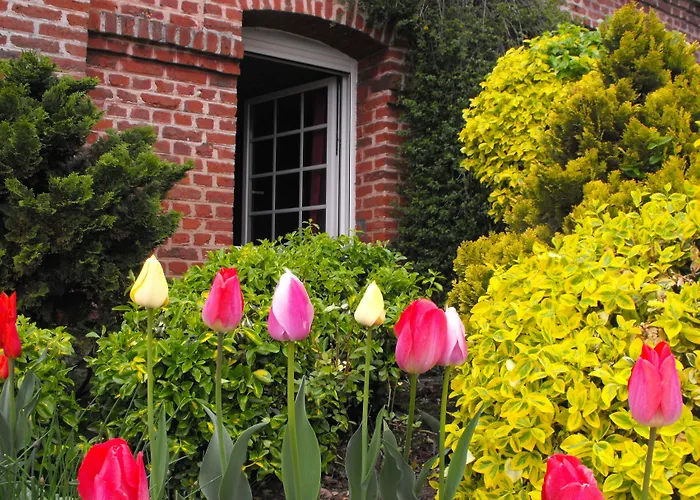 Couette-café Ferme De Bonavis