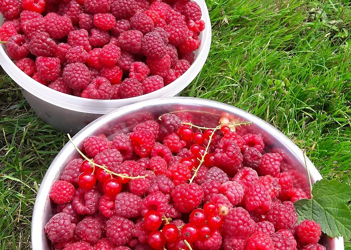 Ferme De Bonavis Banteux